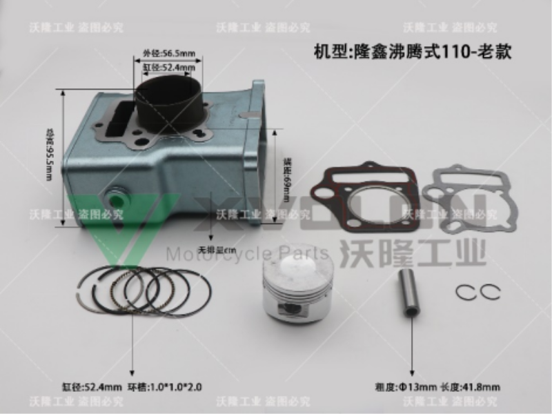 隆鑫沸腾式110老款