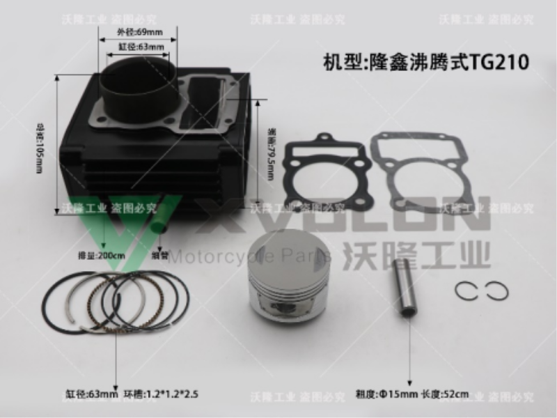 隆鑫沸腾式TG210