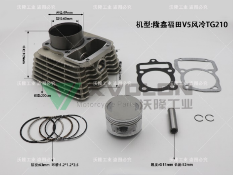 隆鑫福田V5风冷TG210