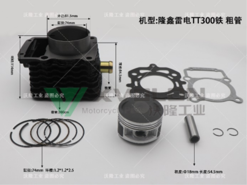 隆鑫雷电TT300铁 粗管