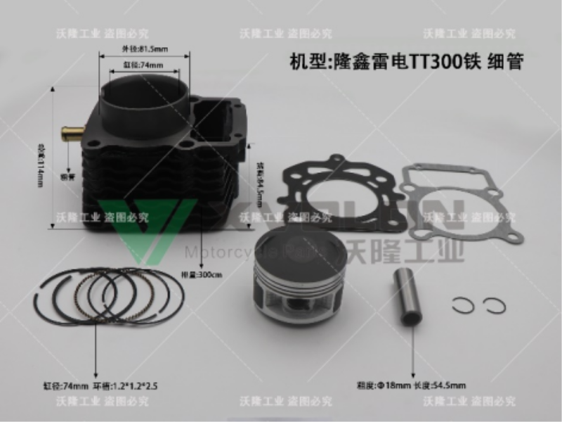 隆鑫雷电TT300铁 细管