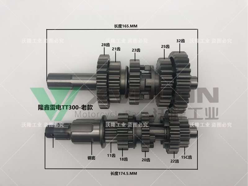 隆鑫雷电TT300老款