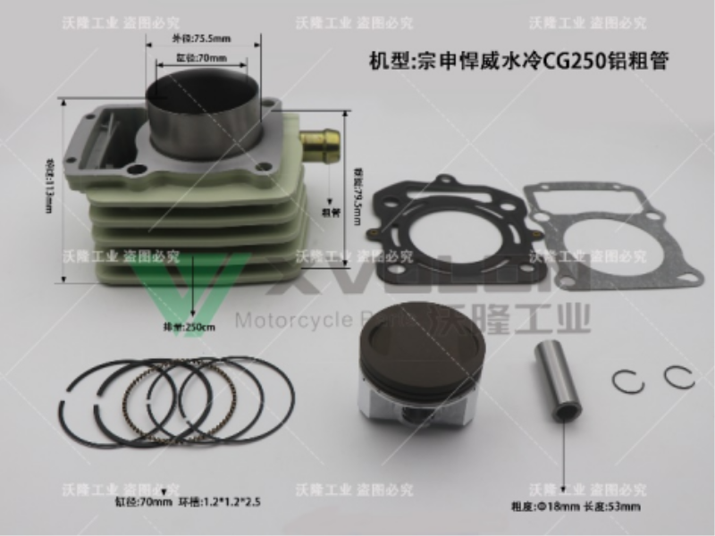 ZS HW CG250 WATER-COOLED