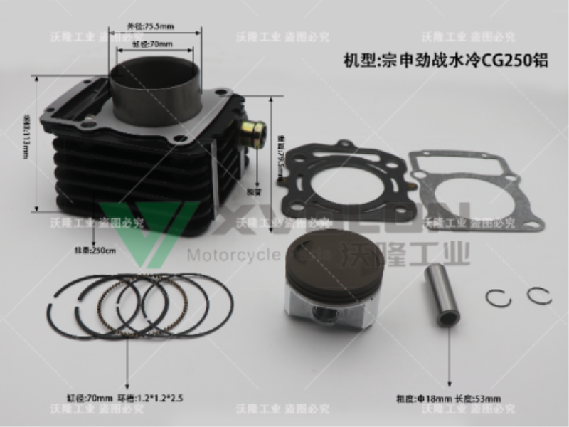 ZS JZ CG250 WATER-COOLED