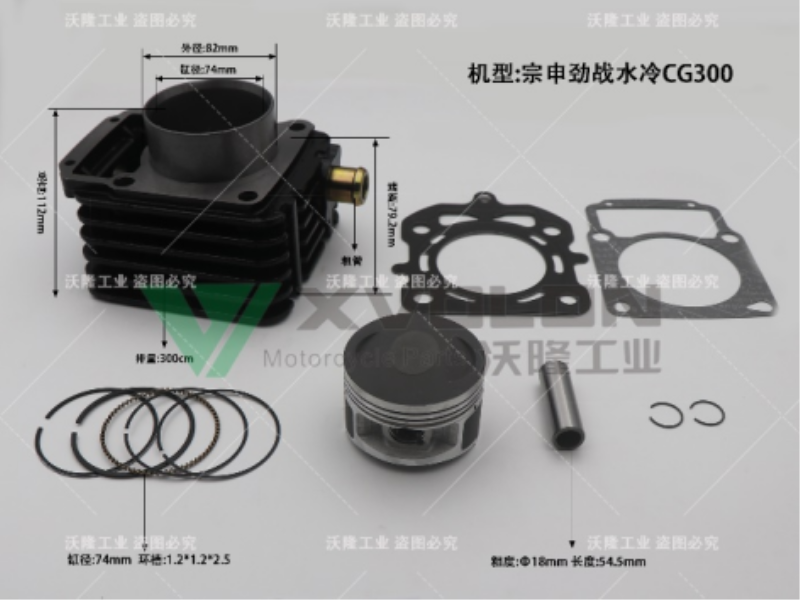 ZS JZ CG300 WATER-COOLED