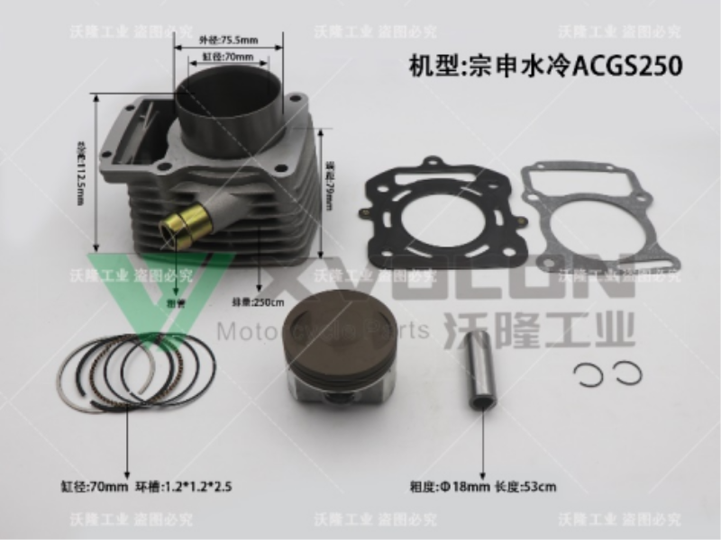 ZS ACGS250 WATER-COOLED