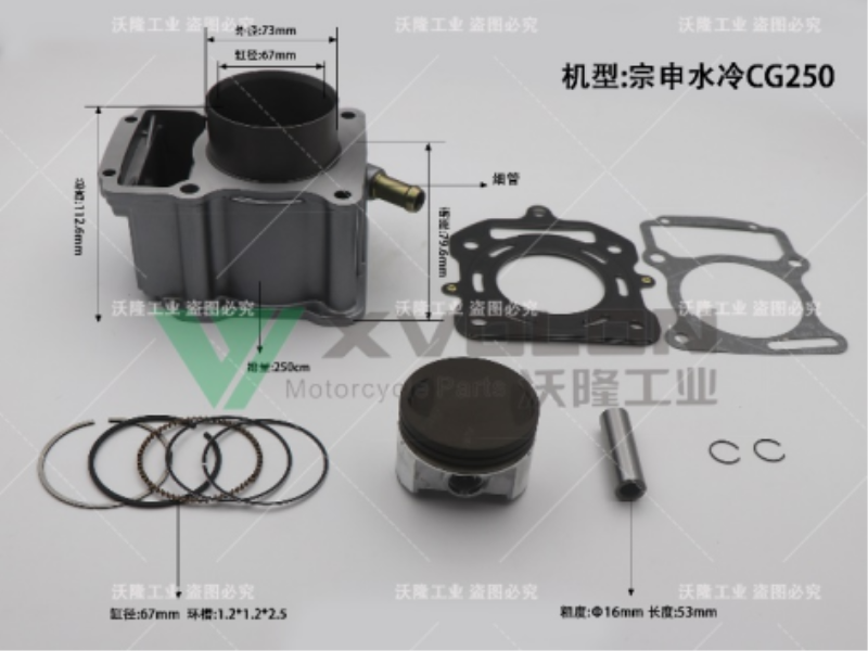 ZS CG250 WATER-COOLED