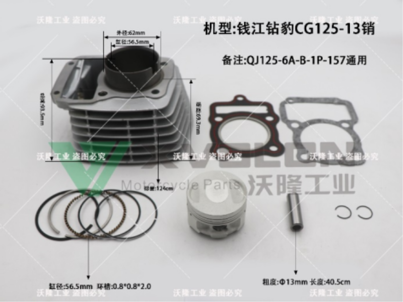 QJ LEOPARD CG125-13Pins