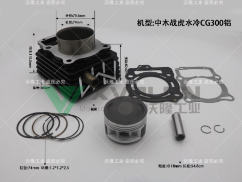 LF ZMZH WATER-COOLED CG300